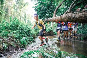 BIB: 
                            <button type="button" onclick="openModal(25474610)" class="btn btn-primary btn-sm float-right btn-popup" data-toggle="modal" data-target=".modal-high-quality">
                        <i class="fas fa-shopping-cart"></i> Add to Cart
                    </button>
                                            <button type="button" onclick="isThisMe(25474610, true)" class="btn btn-success btn-sm float-right btn-popup btn-isme hidden" data-toggle="tooltip" data-placement="bottom" title="นี่คือรูปของคุณใช่ไหม คลิกที่นี่เพื่อเอาเข้าอัลบั้ม">
                        <i class="fas fa-plus"></i> Add to album
                    </button>
                    <button type="button" onclick="isThisMe(25474610, false)" class="btn btn-warning btn-sm float-right btn-popup btn-isnotme hidden">
                        <i class="fas fa-ban"></i> Remove from album
                    </button>